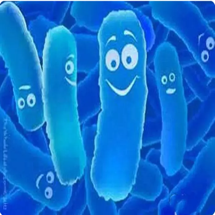 Probiotics