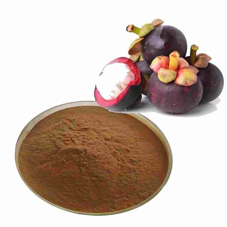High Purity Mangosteen Extract (40%-90% α-Mangostin) Supplier | Antioxidant/Anti-Inflammatory/Anti-Aging Raw Materials | CAS 90045-25-3