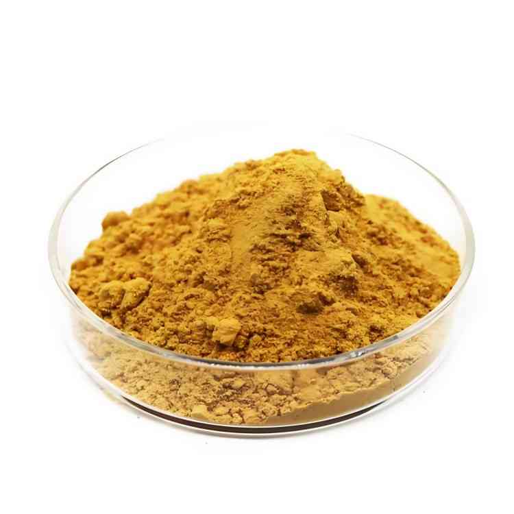 High Purity Moringa Leaf Extract Supplier | Natural Antioxidant/Immune Enhancement Raw Material | CAS 93165-54-9