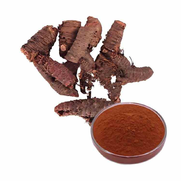 High Purity Rhodiola Rosea Extract Supplier｜3% Salidroside + Rosavins Standardized｜Adaptogen Raw Materials｜CAS 97404-52-9