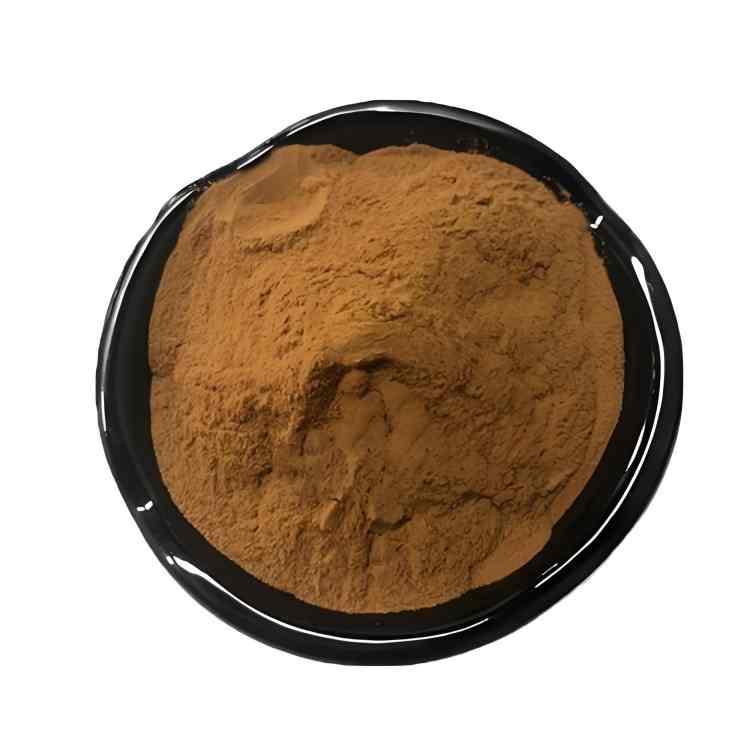 High Purity Ginkgo Leaf Extract Supplier | 24% Flavonol Glycosides + 6% Terpene Lactones | CAS 90045-36-6