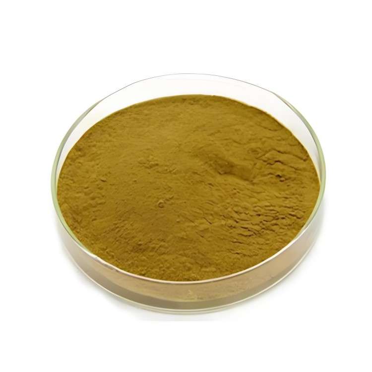 Green Coffee Bean Extract Chlorogenic acid CAS 327-97-9