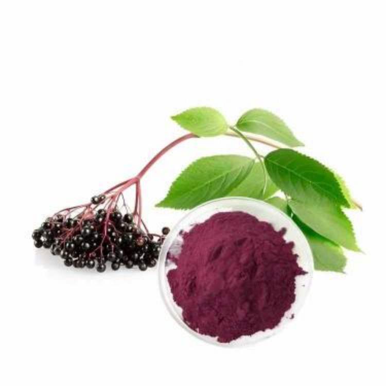 High Purity Elderberry Extract (25% Anthocyanins) Supplier | Immunomodulatory/Antiviral Raw Materials | CAS 84603-58-7