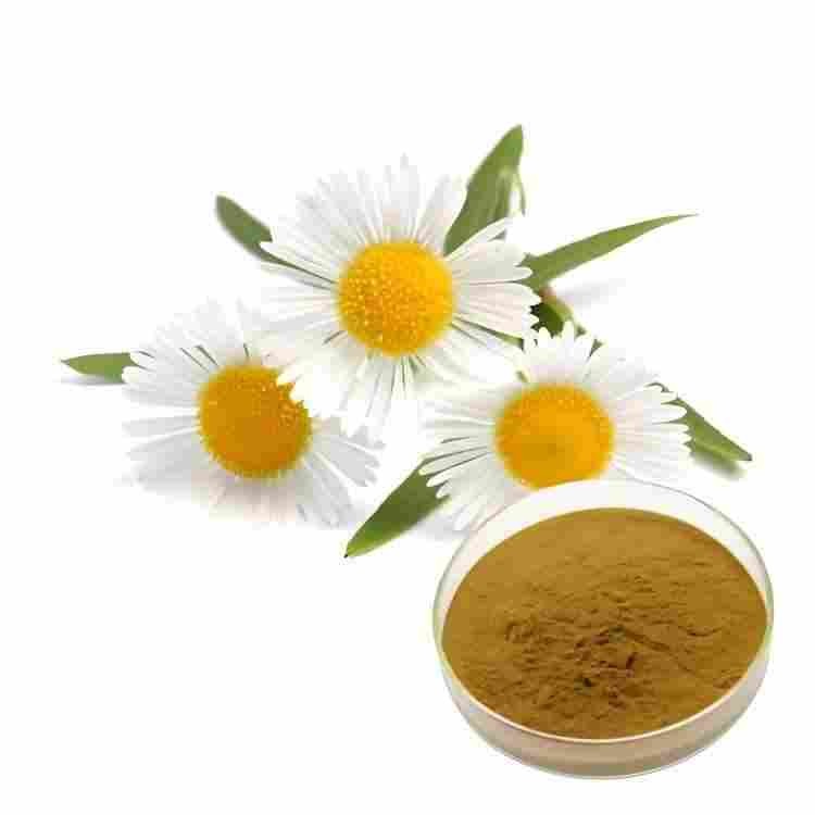 Chamomile Extract | Natural Soothing Ingredient | CAS 84082-60-0 Supplier