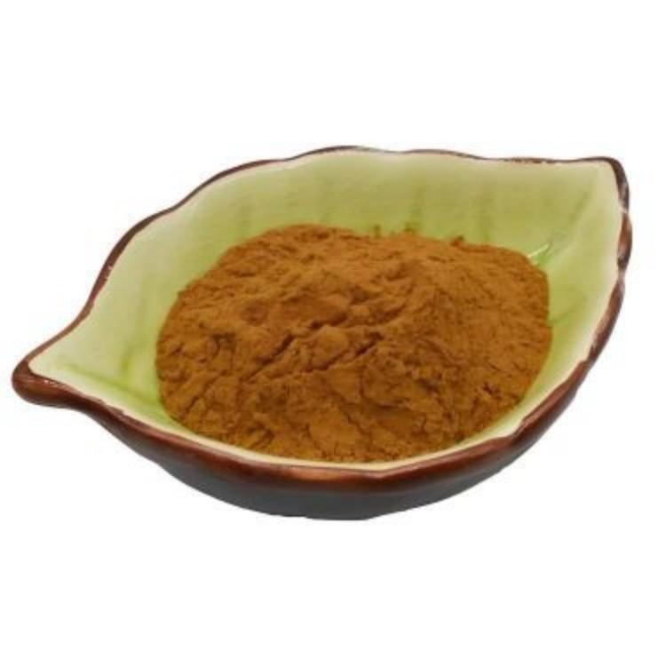 Guarana Extract | Natural Energy Factor | CAS 84929-28-2 Supplier