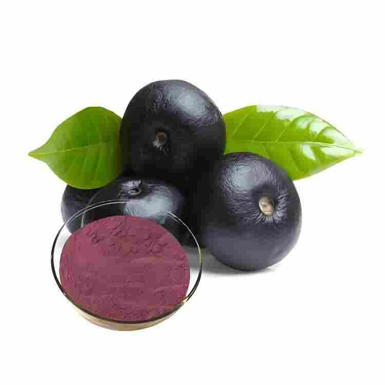 Açai Berry Extract | Super Antioxidant Raw Material | CAS 879496-95-4 Supplier