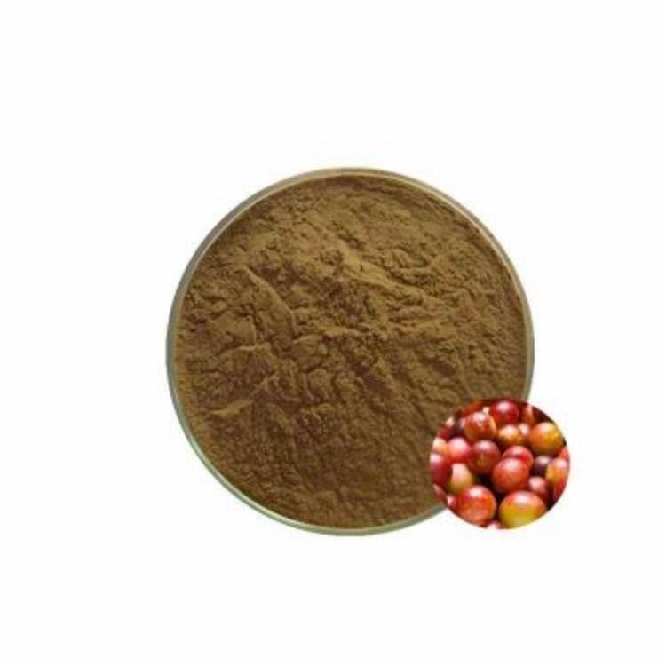 Camu Camu Extract | King of Natural Vitamin C | CAS 50-81-7 Supplier